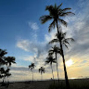 Meet your Posher, Marko